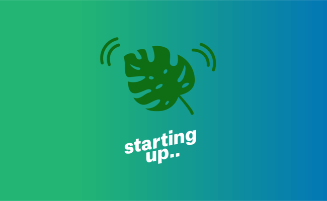 Medium startup leaf