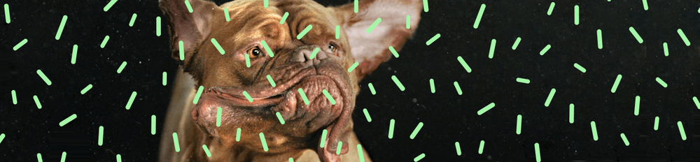 Large header03